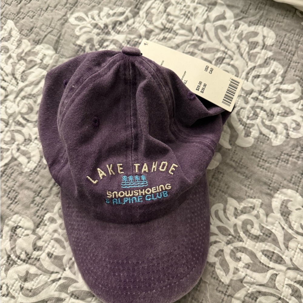 Urban Outfitters Purple Lake Tahoe Cap
